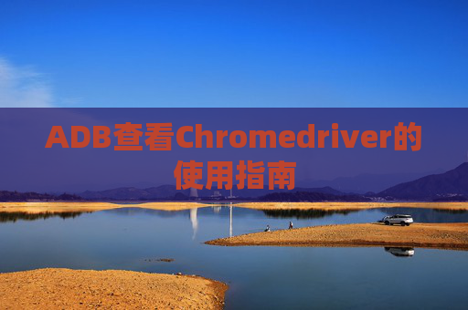 ADB查看Chromedriver的使用指南